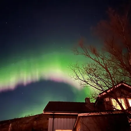 Cozy House Centrally Located And Close To Hiking Areas And Lägenhet